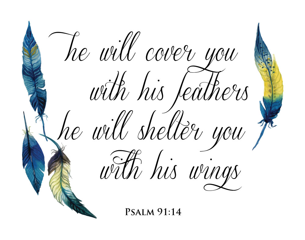 He will cover you with his feathers - Psalm 91:4 - Seeds 
